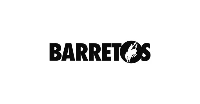 logo barrettes